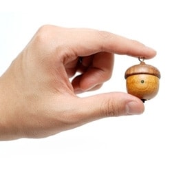 acorn-21 acorn-21