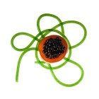 111vspaghetti_de_roquette_-_recette_cuisine_moleculaire__gastronomie_moll__xe9culaire