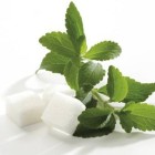 stevia2703