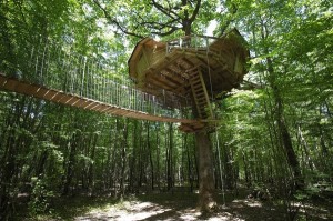 600cabane-dans-les-arbres 600cabane-dans-les-arbres