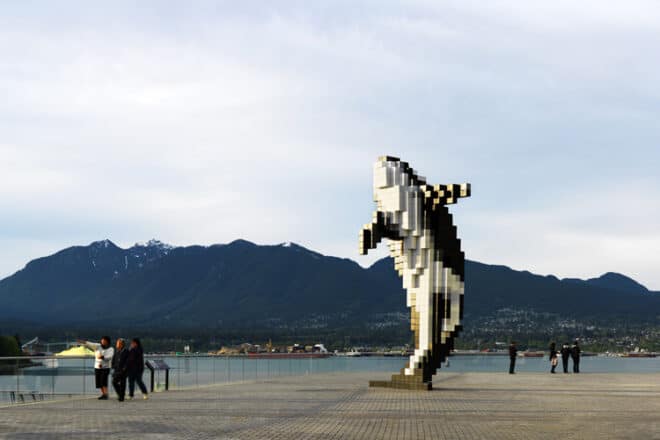 Orca 075